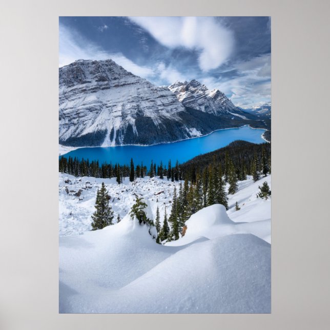 Poster Gelo e neve | Peyto Lake, Rockies canadianos (Frente)