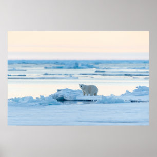 Poster Gelo e neve Polar Bear Iceberg Noruega