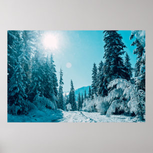 Poster Gelo e neve   Reserva Natural de Altai, Rússia