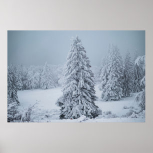 Poster Gelo e neve Woodland, Alpes suíços