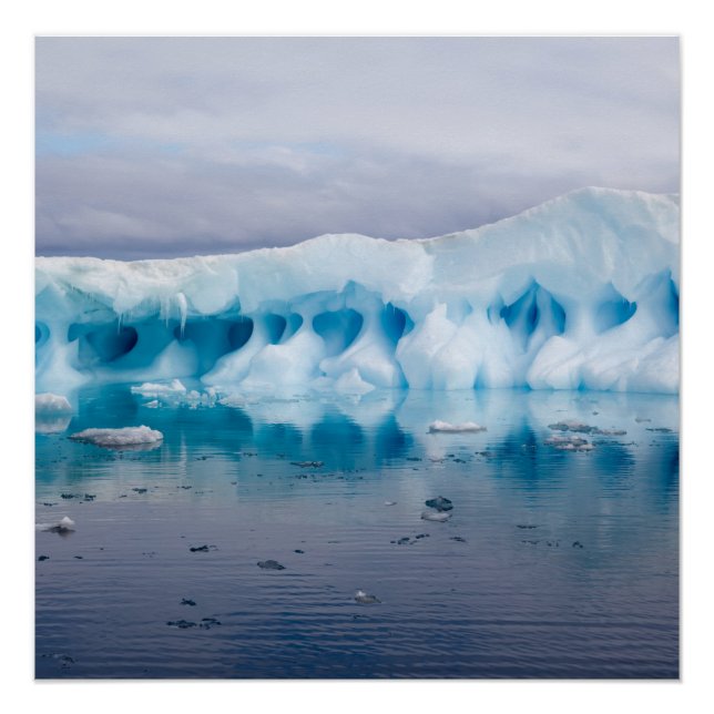 Póster Gelo na Antártica (Frente)