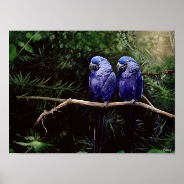 Póster Gêmeos (Frente)