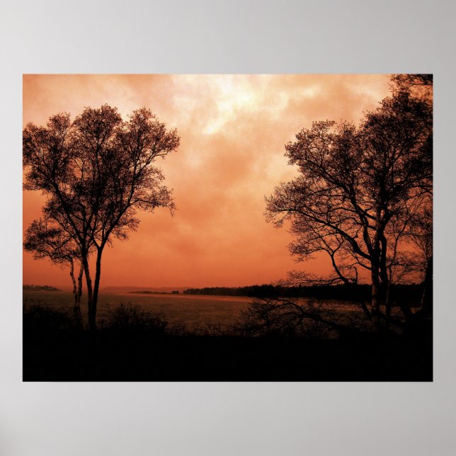 Póster Gêmeos (Frente)