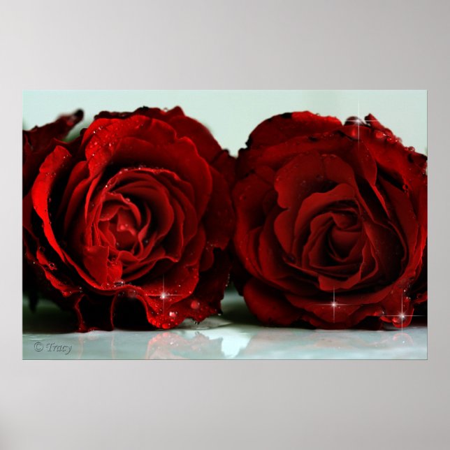 Póster Gêmeos (Frente)