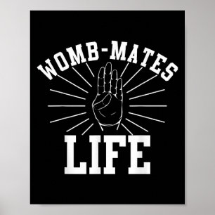 Poster gêmeos, companheiros de mulher bebê Irmão