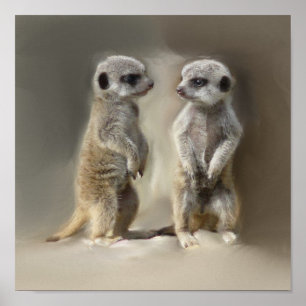Póster Gêmeos do bebê de Meerkat