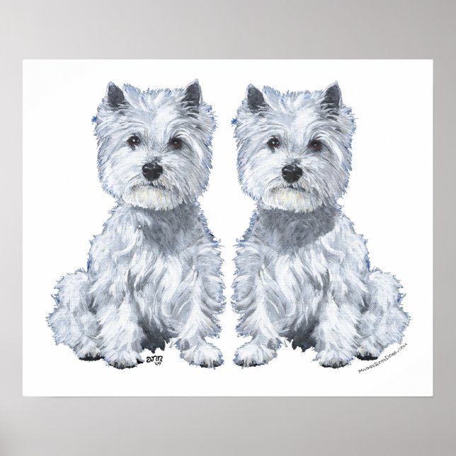 Poster Gêmeos West Highland White Terrier! (Frente)