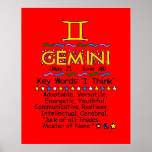 Poster GEMINI