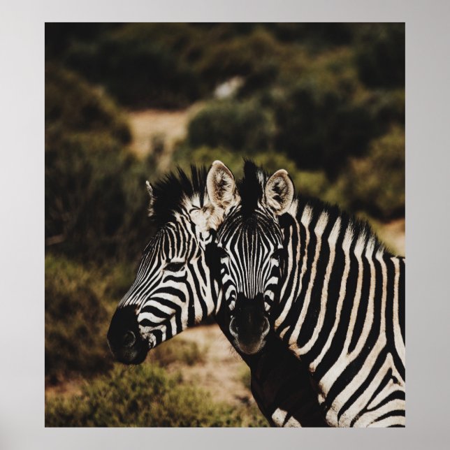 POSTER GEMINI (Frente)