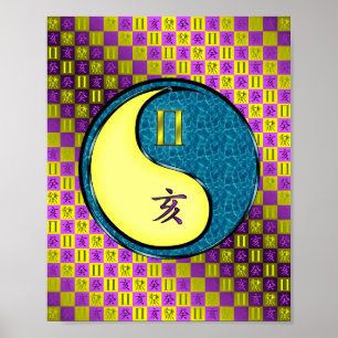 Poster Gemini e Água Boar