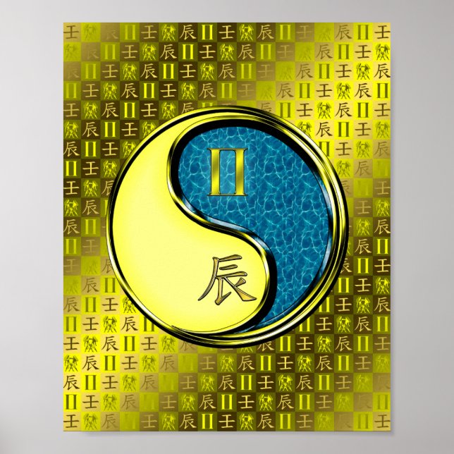 Poster Gemini & Water Dragon (Frente)