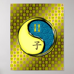 Poster Gemini & Water Rat