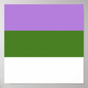 POSTER GENDERQUEER PRIDE