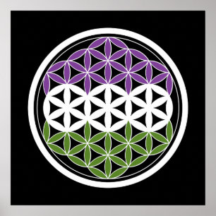Poster genderQueer sacred geometry