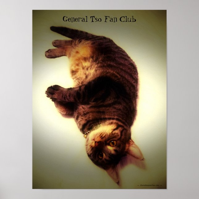 Poster - General Tso Fan Club (Frente)
