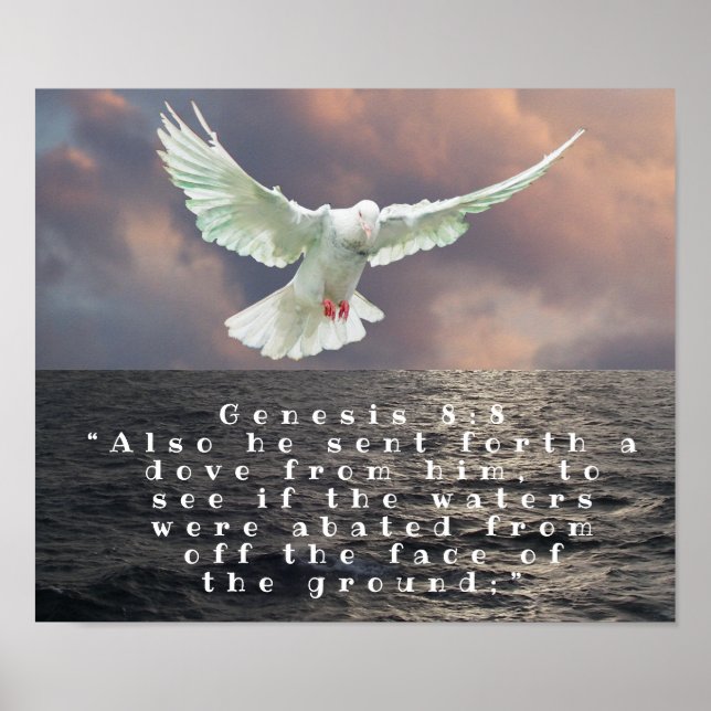 POSTER GÊNESE 8:8 (Frente)