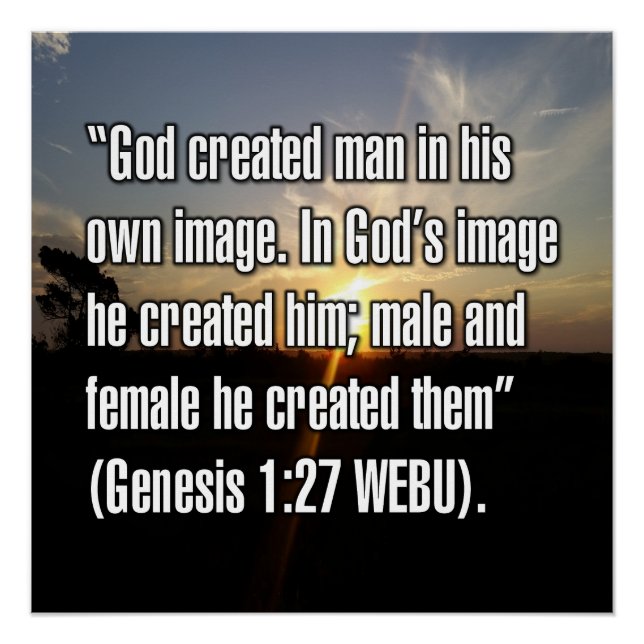 Póster Gênesis 1:27 WEBU (Frente)