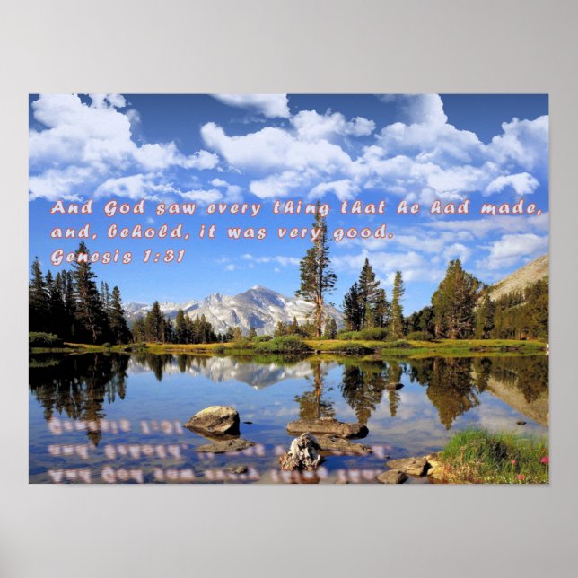 Póster Gênesis 1:31 (Frente)