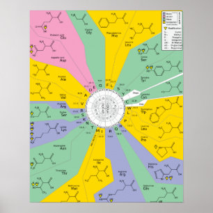Poster GeneticCode aminoácidos codons