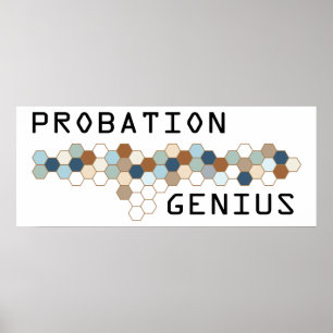 Póster Gênio da prisão preventiva