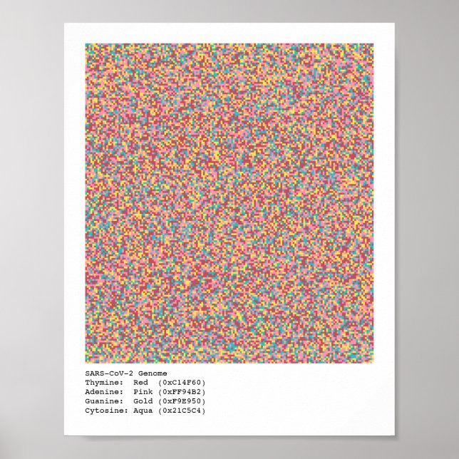 Poster Genoma COVID-19 (Frente)