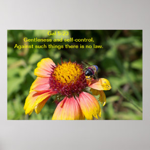 Poster Gentileza e autocontrolo