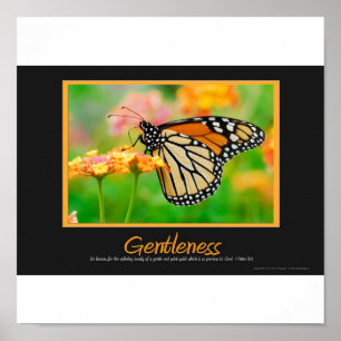 Póster Gentleness