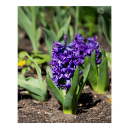 Póster Geocinth Azul na primavera