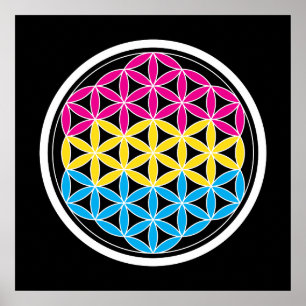 Póster geometria pan-sagrada