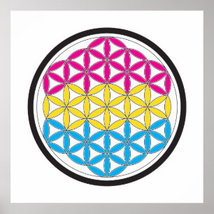 Póster geometria pan-sagrada