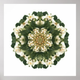 Poster Geometria Sagrada Meditativa: Flora Fractal