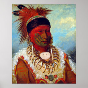 Poster George Catlin, A Nuvem Branca, Chefe