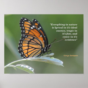 Poster George Santayana Cita Sobre A Natureza