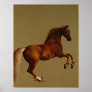 Poster George Stubbs - Casaco