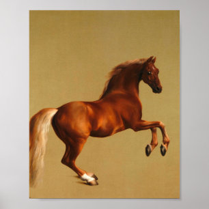 Poster George Stubbs - Casaco