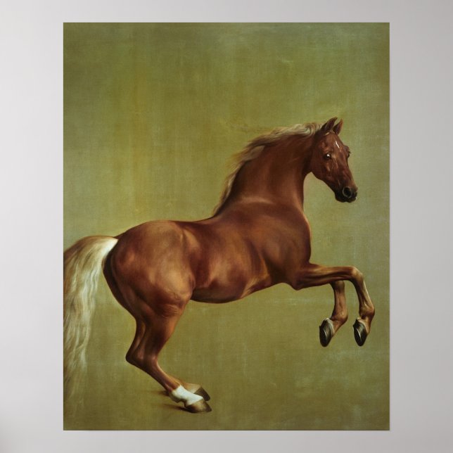 Póster George Stubbs | Casaco de assobio, 1762 (Frente)