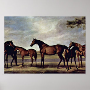 Póster George Stubbs - éguas antes de uma tempestade