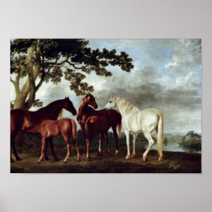 Poster George Stubbs - éguas e potros em uma paisagem