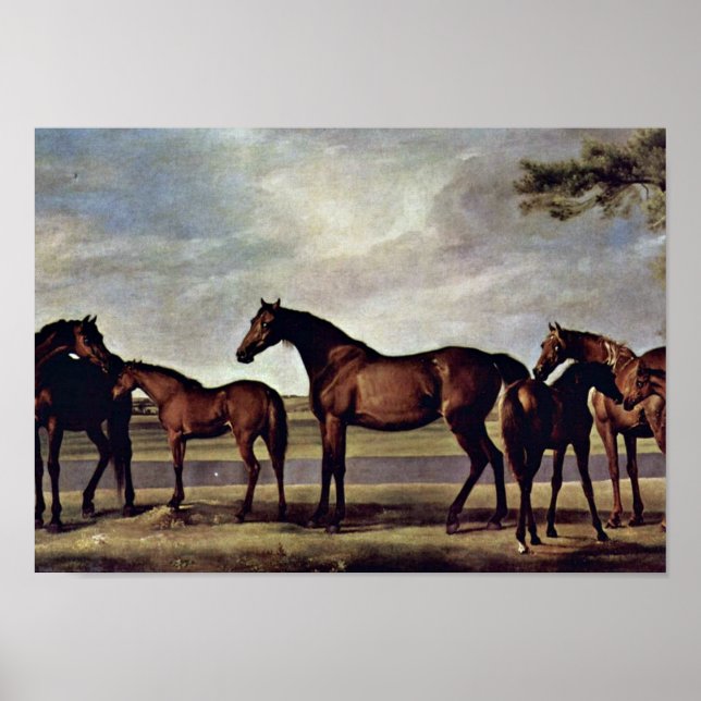 Póster George Stubbs - Mares antes de uma tempestade imin (Frente)