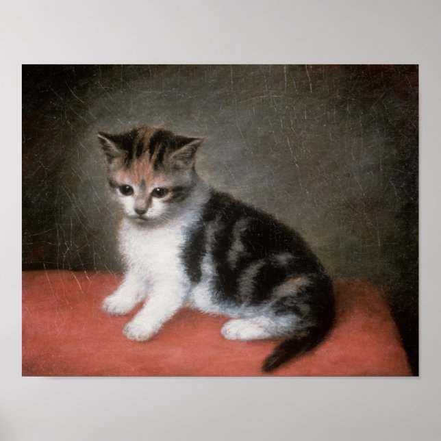 Póster George Stubbs | O Kitten de Ann White, 1790 (Frente)