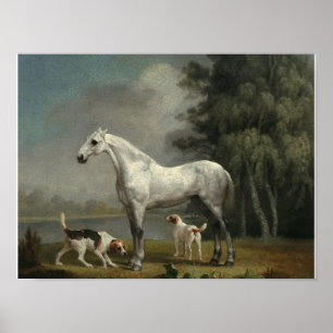 Poster George Stubbs - Um caçador de Cinzas de maçã