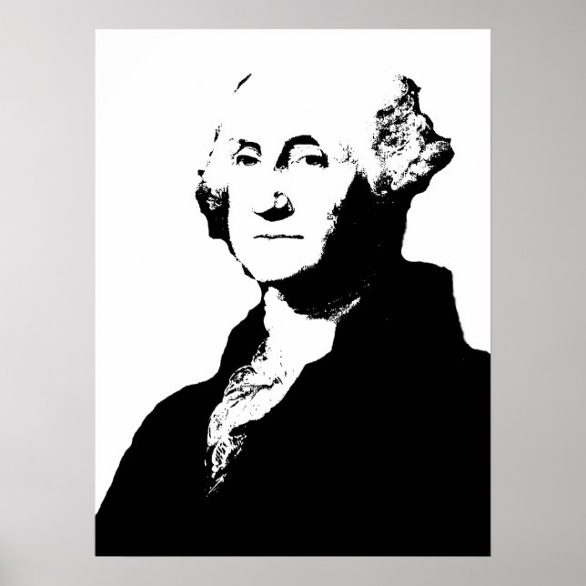 Poster George Washington (Frente)
