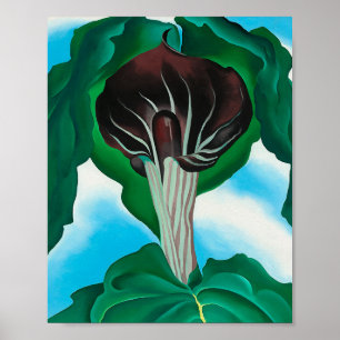 Poster georgia okeeffe, arte,
