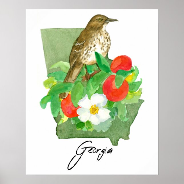 Poster Georgia State Shape Bird Brown Thrasher (Frente)