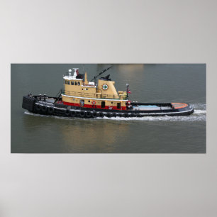 Poster Gerador Oglethorpe Imprimir