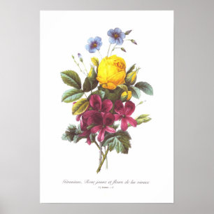 Póster Gerânio, cor-de-rosa e linho