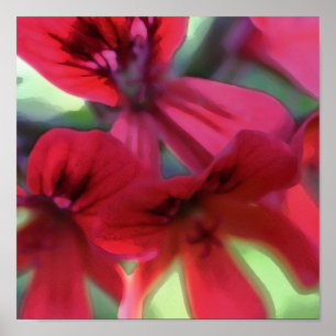 Poster Gerânio pintado