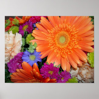 Poster Gerber Daisy ConvEsquema