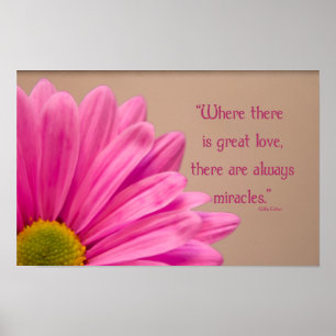 Póster Gerber Daisy Miragres Rosa