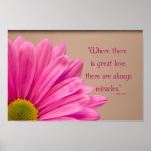 Póster Gerber Daisy Miragres Rosa
